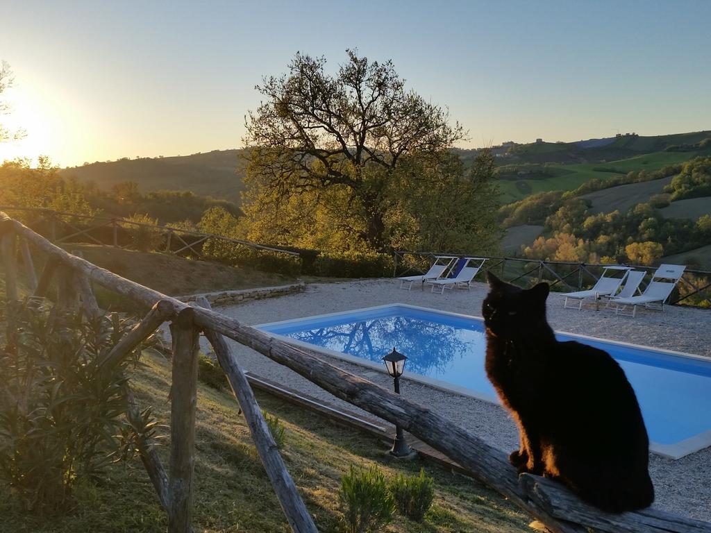 Agriturismo Tre Querce Penna San Giovanni Экстерьер фото